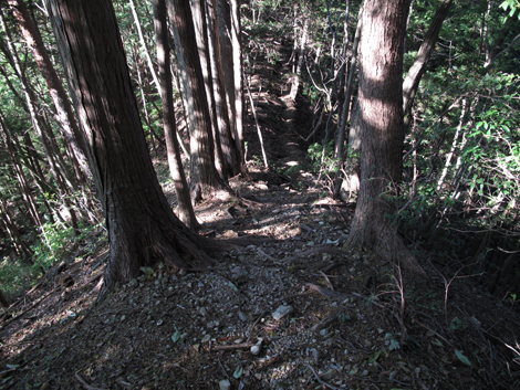 20171026hike (277)